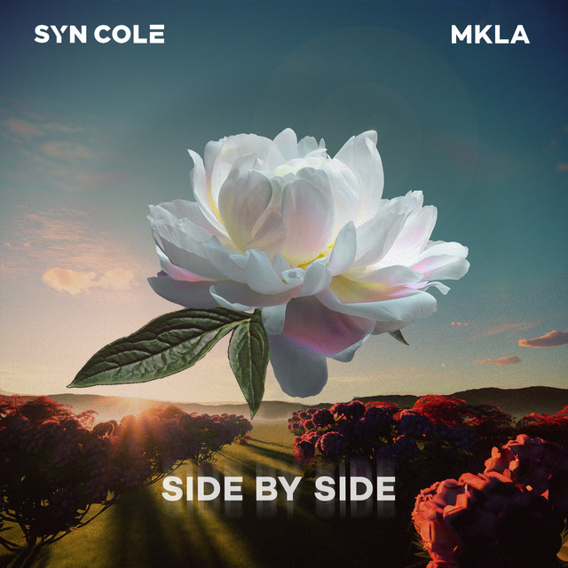 Syn Cole x MKLA -  Side By Side, House music genre, Nagamag Magazine