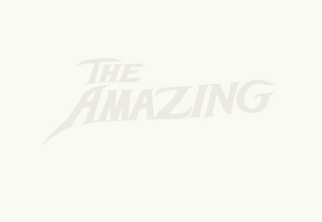 The Amazing - Dragon, Rock music genre, Nagamag Magazine