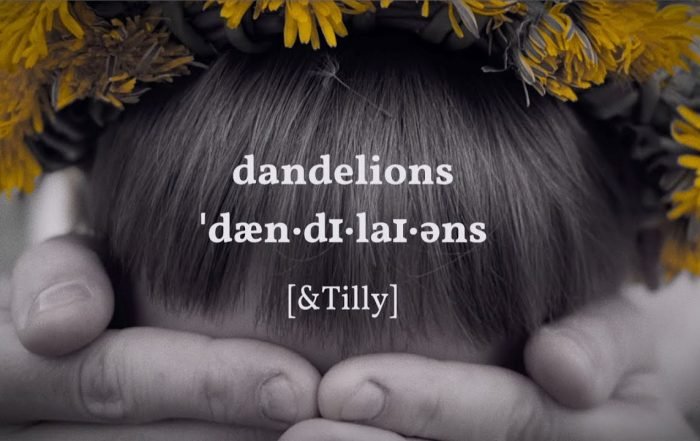 &Tilly - Dandelions, Pop music genre, Nagamag Magazine