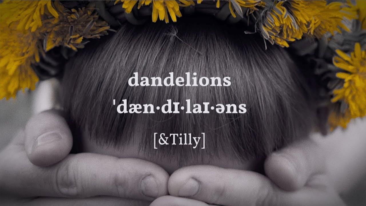 &Tilly - Dandelions, Pop music genre, Nagamag Magazine