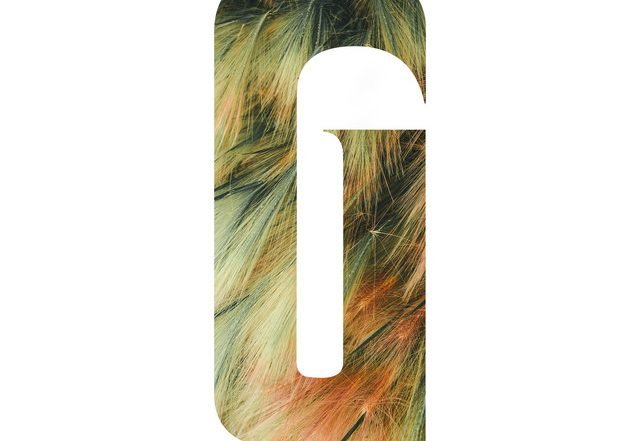 TORNIK - The Way, Electronica music genre, Nagamag Magazine