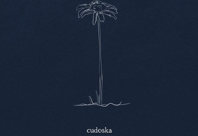 cudoska - fine, Pop music genre, Nagamag Magazine