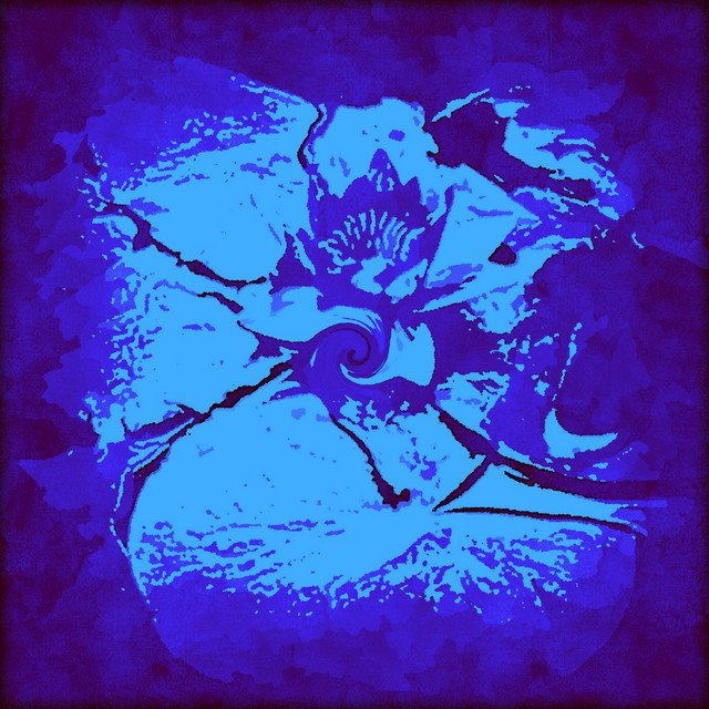 Isaac R – Lotilus