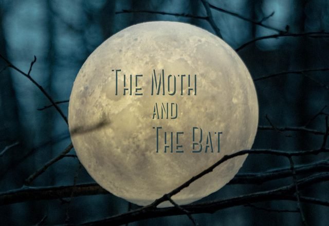 Christof R Davis - The Moth and The Bat, Neoclassical music genre, Nagamag Magazine