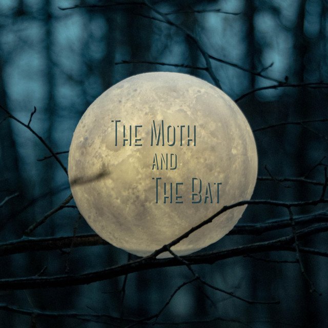 Christof R Davis – The Moth and The Bat