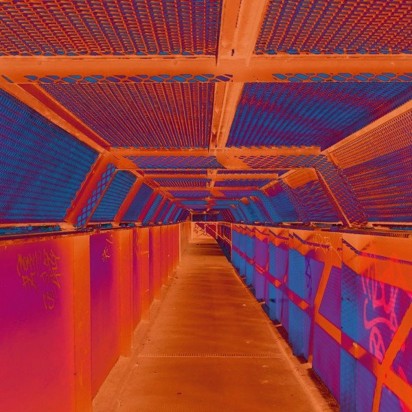 common goldfish – I Don’t Feel Today