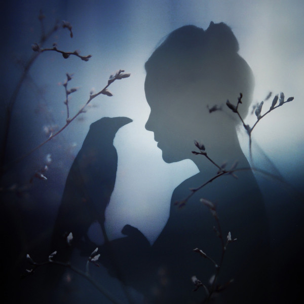 Gifts From Crows – A Persistent Dream