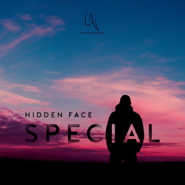 Hidden Face - Special, Electronica music genre, Nagamag Magazine