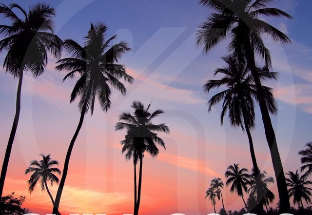 Paul Sawyer x Ana Be x 08 Pulse - Waiting All My Life - 08Pulse Cinematic Remix, Electronica music genre, Nagamag Magazine