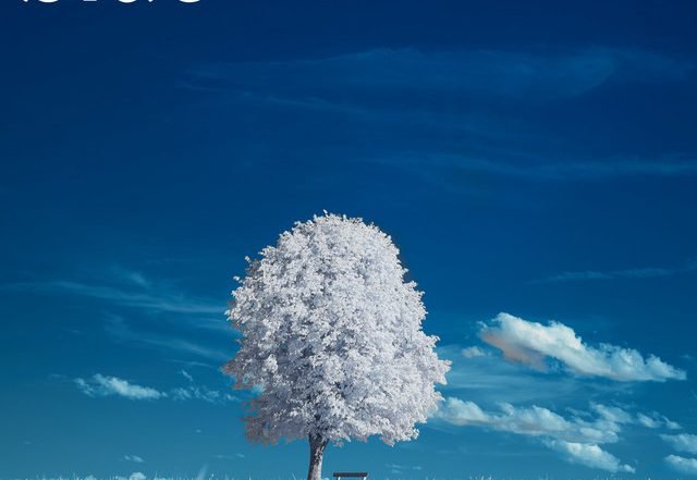 Terry Blade x Charlie J - Blue (Radio Edit), Electronica music genre, Nagamag Magazine