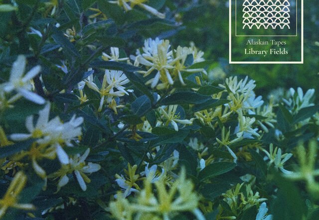Alaskan Tapes - Library Fields, Neoclassical music genre, Nagamag Magazine