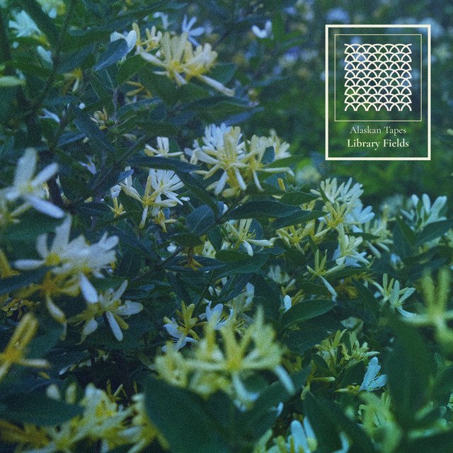 alaskan-tapes-library-fields-nagamag-music-magazine Alaskan Tapes – Library Fields