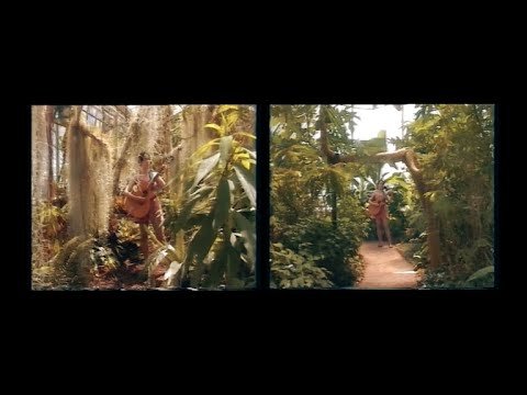 alicia-clara-i-let-my-plant-die-nagamag-music-magazine Alicia Clara – I Let My Plant Die