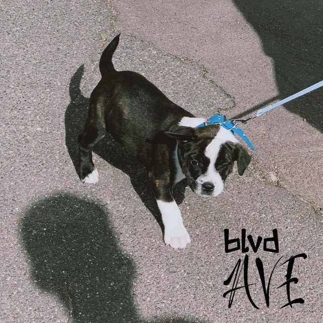 blvd-ave-hotter-than-a-nagamag-music-magazine blvd AVE – Hotter Than A…