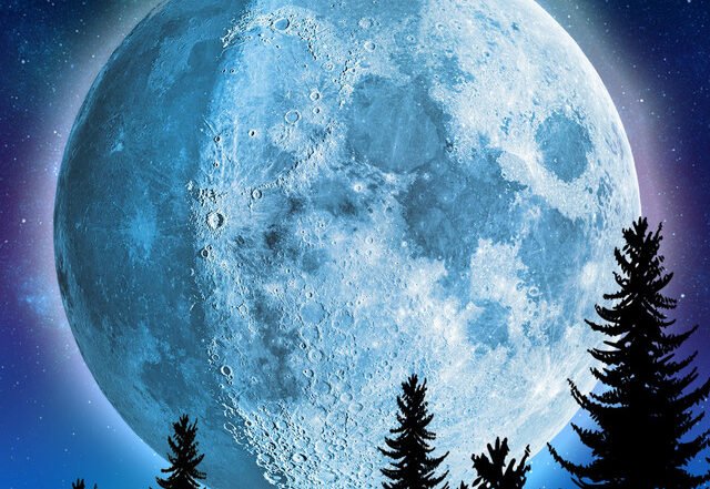 David Unger - Symbiotic Love, Blogwave music genre, Nagamag Magazine