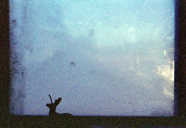 Dearie - In a Rut, Editorial Selections music genre, Nagamag Magazine