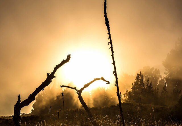 Erwin Deleux - Mauna, Neoclassical music genre, Nagamag Magazine