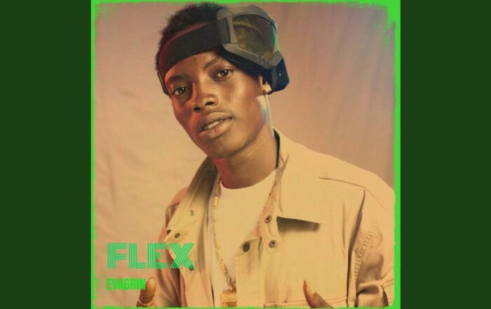 Evagrin - Flex, Afrobeats music genre, Nagamag Magazine