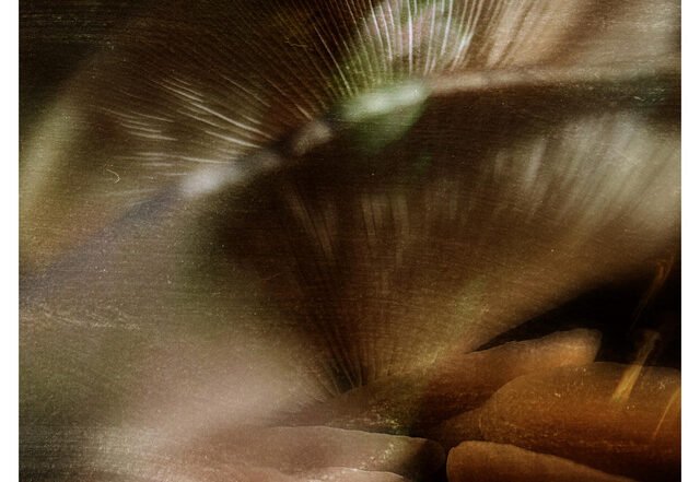 Fred Stoyva - EVOKE № 2 (Cherry, scarlet, silk), Neoclassical music genre, Nagamag Magazine