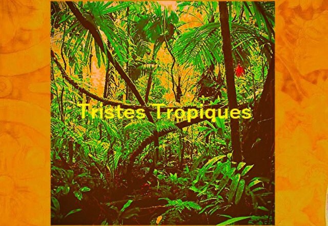 George Kano - Tristes Tropiques, Jazz music genre, Nagamag Magazine