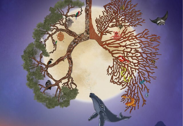JC and the Tree - Fall Away, Pop music genre, Nagamag Magazine