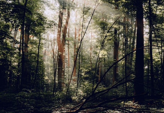 Lehto x Jepka - To the River feat. Jepka, Jazz music genre, Nagamag Magazine