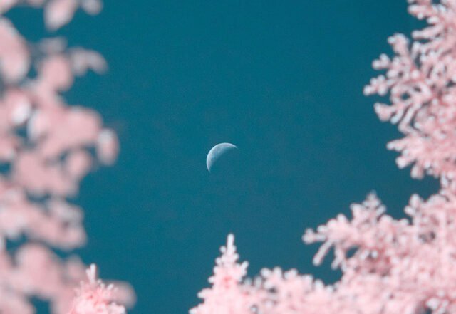 Oliver Munch - Bedtime For Bozo's, House music genre, Nagamag Magazine