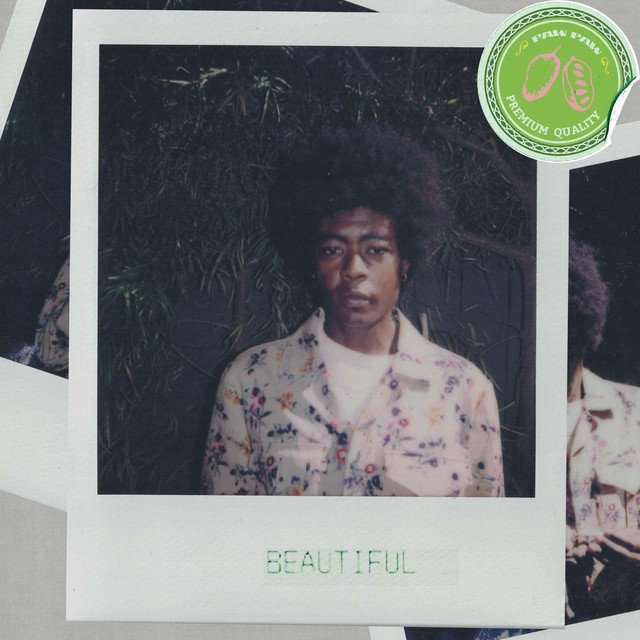 pawpaw-rod-beautiful-nagamag-music-magazine PawPaw Rod – Beautiful
