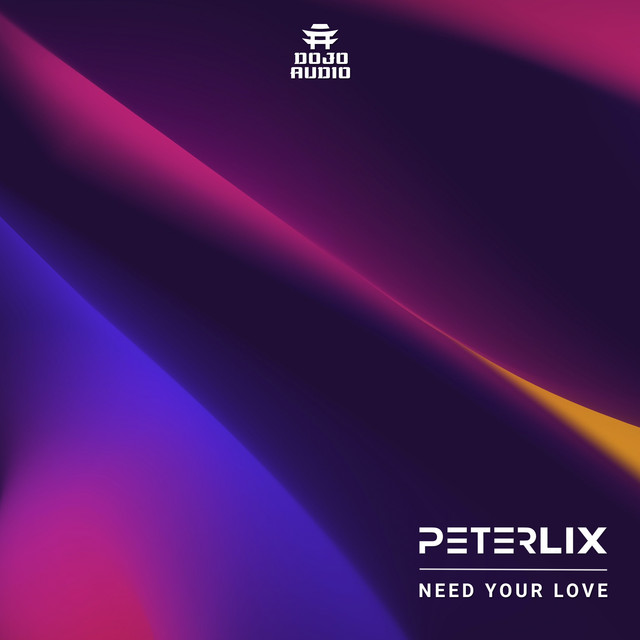 Peter Lix - Need Your Love, Electronica music genre, Nagamag Magazine