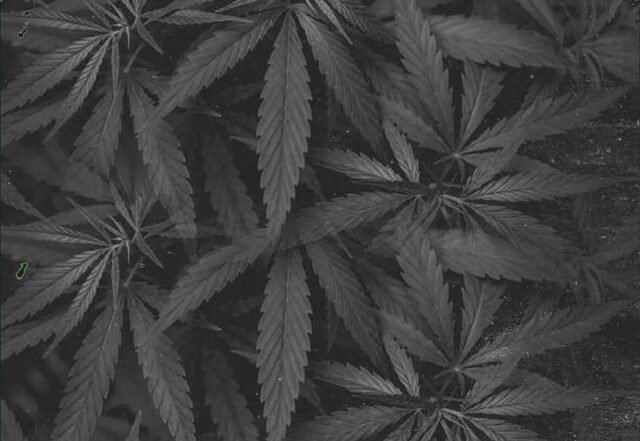 Ricky Amor x Consey - Stress Relief, Hip Hop music genre, Nagamag Magazine