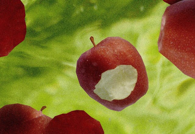 rosethrow - Trench, Hip Hop music genre, Nagamag Magazine