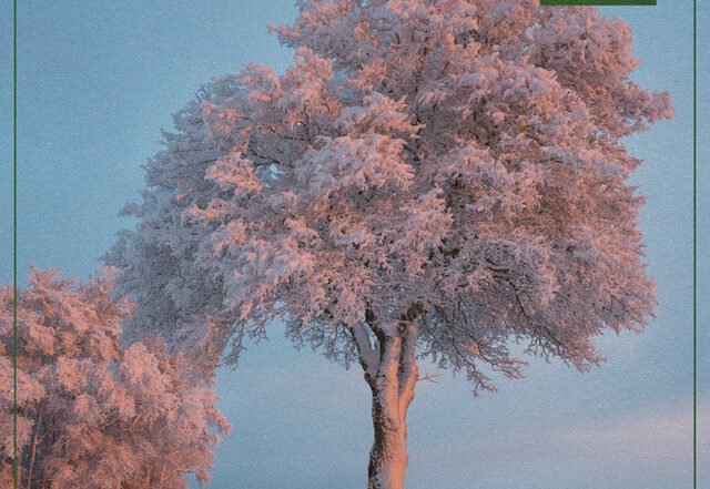 Ruck P x Beats for Trees - Alright, Jazz music genre, Nagamag Magazine