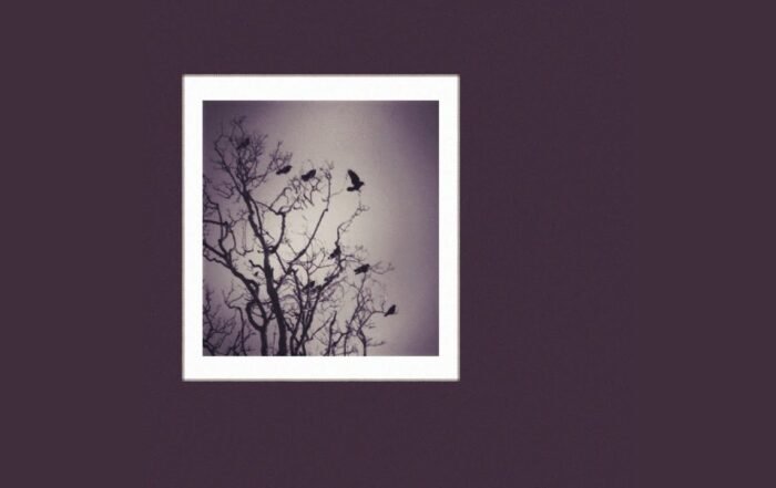 The Midnight Preachers - To The Crows, Rock music genre, Nagamag Magazine
