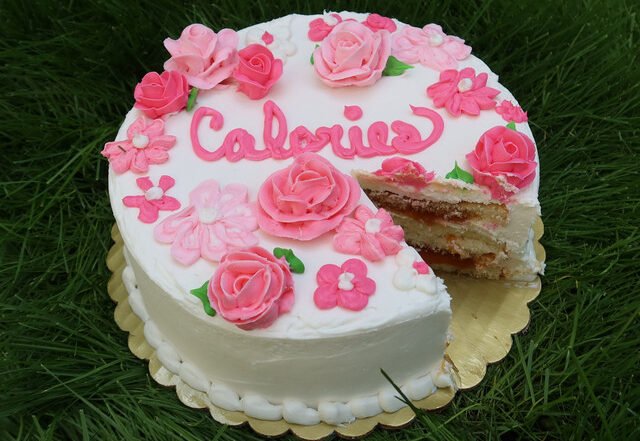 Zoe Ferguson - Calories, Pop music genre, Nagamag Magazine