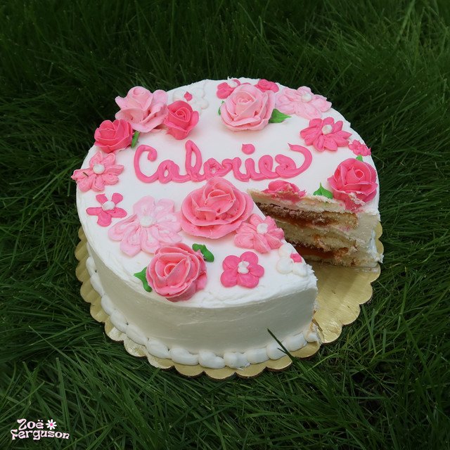 zoe-ferguson-calories-nagamag-music-magazine Zoe Ferguson – Calories