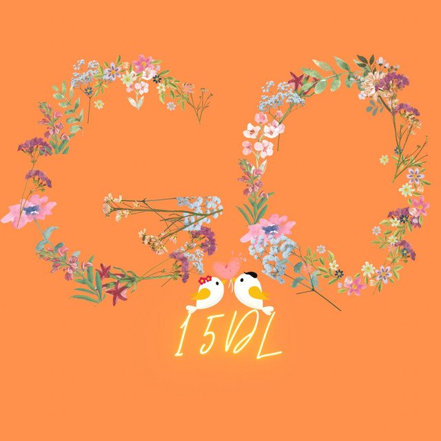 15dl-go-nagamag-music-magazine 15DL – Go