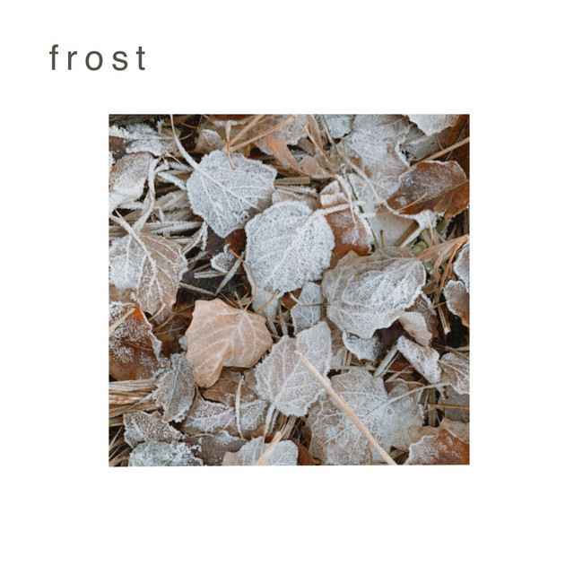 Allison Jordan – Frost