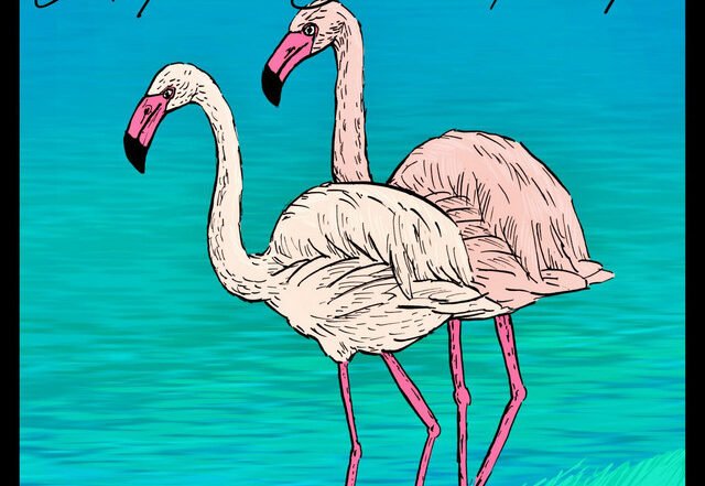 Anthon Jean-Paul - Flamingo Island, Jazz music genre, Nagamag Magazine