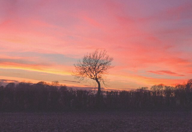 ASHE - Garden, Electronica music genre, Nagamag Magazine