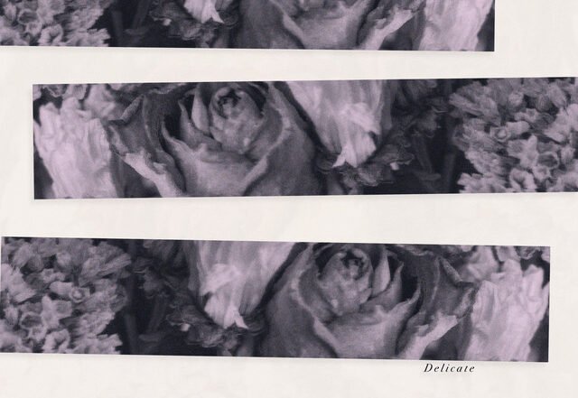 Chiko & Nors - Delicate, Neoclassical music genre, Nagamag Magazine