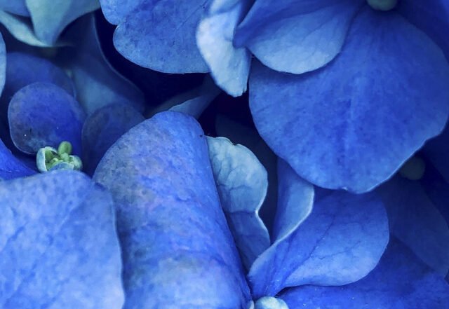 Coffee Experience - Lost, Neoclassical music genre, Nagamag Magazine