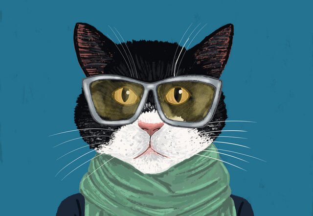 Fantastic Cat - The Gig, Rock music genre, Nagamag Magazine