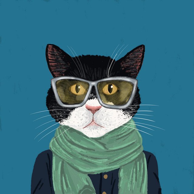fantastic-cat-the-gig-nagamag-music-magazine Fantastic Cat – The Gig