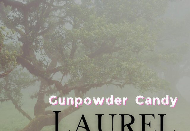 Gunpowder Candy - Laurel, Rock music genre, Nagamag Magazine