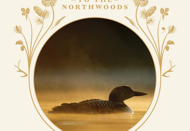 Julie Chapman - Gavia Immer, Neoclassical music genre, Nagamag Magazine