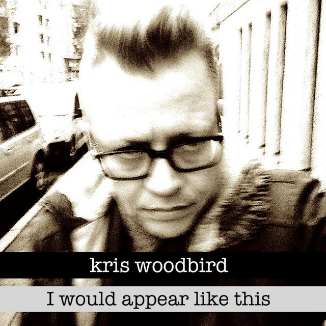 kris-woodbird-i-would-appear-like-this-nagamag-music-magazine Kris Woodbird – I Would Appear Like This