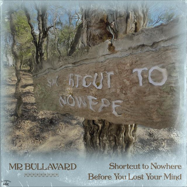 Mr. Bullavard – Before You Lost Your Mind