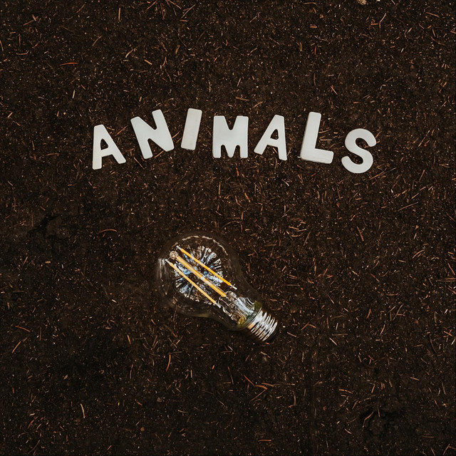 Nathaniel Sutton – Animals