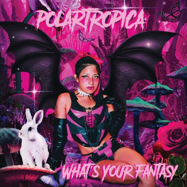 polartropica-whats-your-fantasy-nagamag-music-magazine POLARTROPICA – WHAT’S YOUR FANTASY