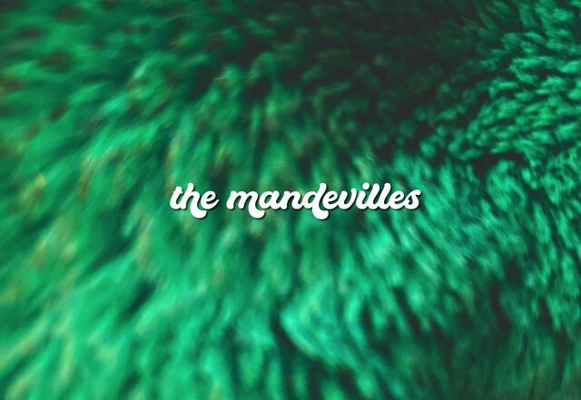 The Mandevilles - Wasn't Always, Rock music genre, Nagamag Magazine